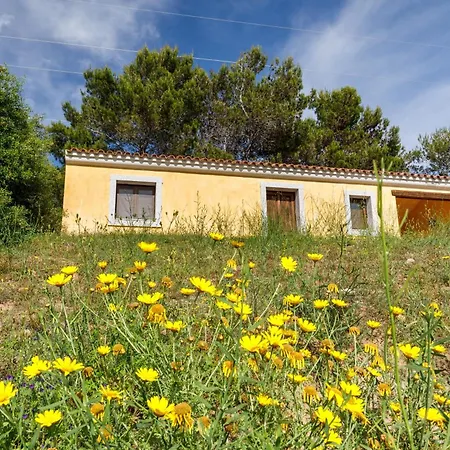 With Common Swimming-pool And Outdoor Private Area In 3* Badesi